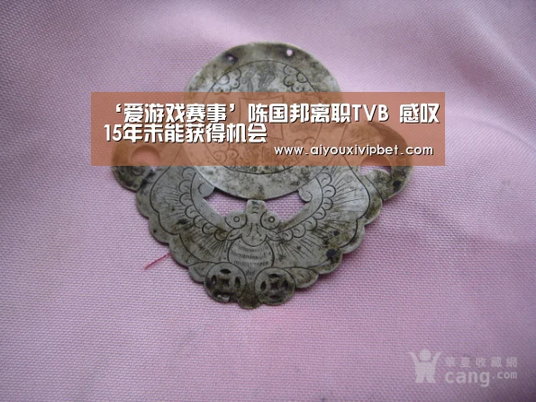 ‘爱游戏赛事’陈国邦离职TVB 感叹15年未能获得机会(图1) 爱游戏官网