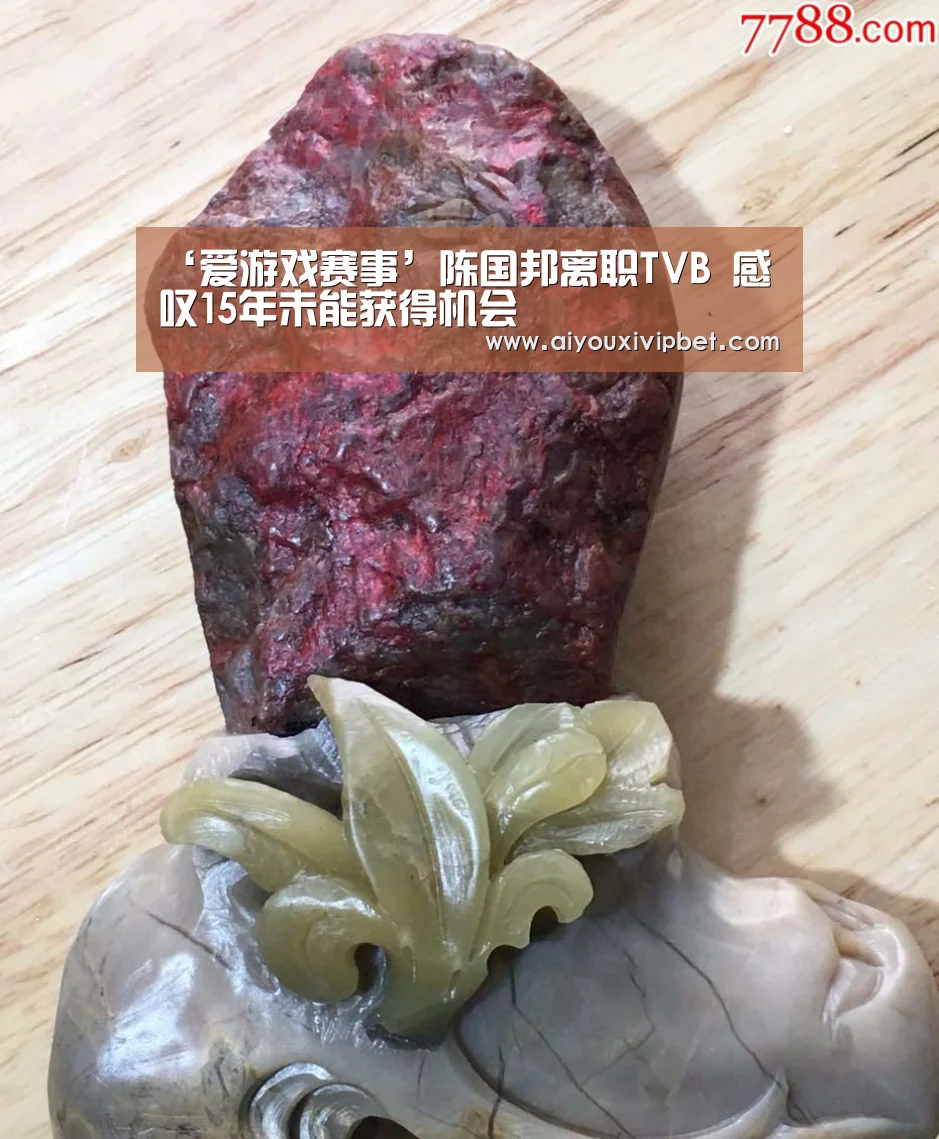 ‘爱游戏赛事’陈国邦离职TVB 感叹15年未能获得机会(图2) 爱游戏赛事