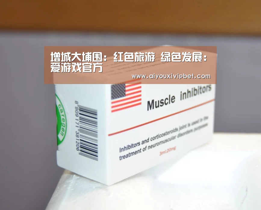 爱游戏APP