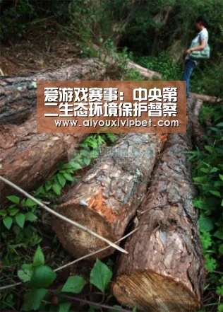 爱游戏官网